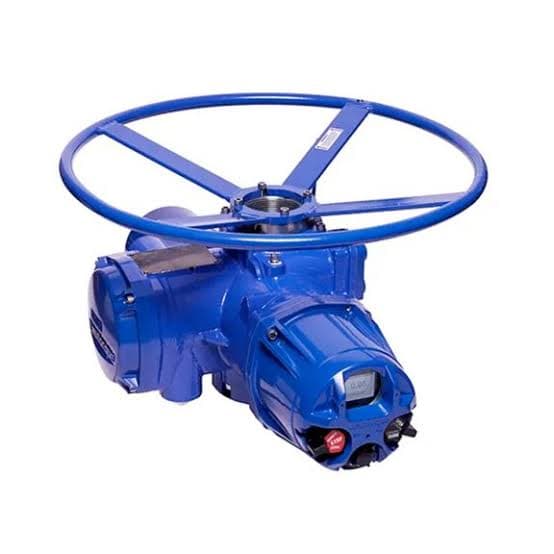 Multi-Turn Actuator