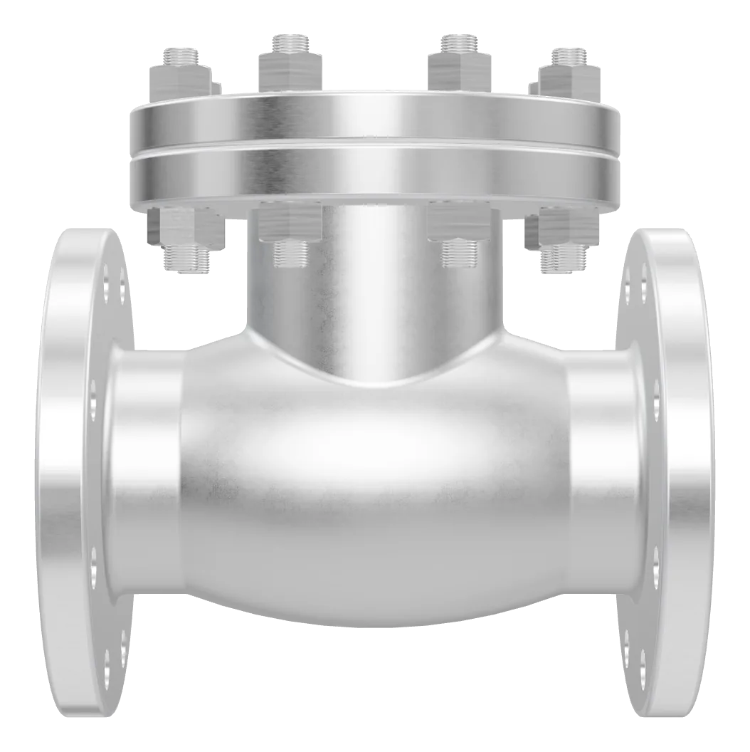 AAVS precision flanged check valve — front view